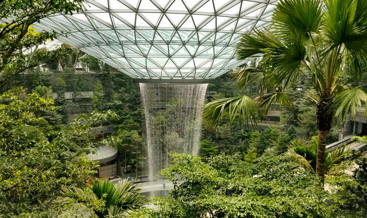 室内设计,环境设计,设计专业,新加坡樟宜机场