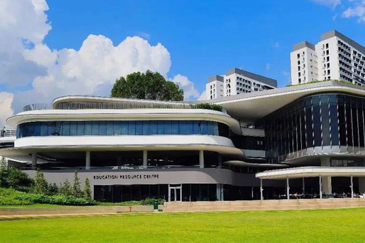 新加坡国立大学研究生艺术专业  有哪些具体专业值得推荐