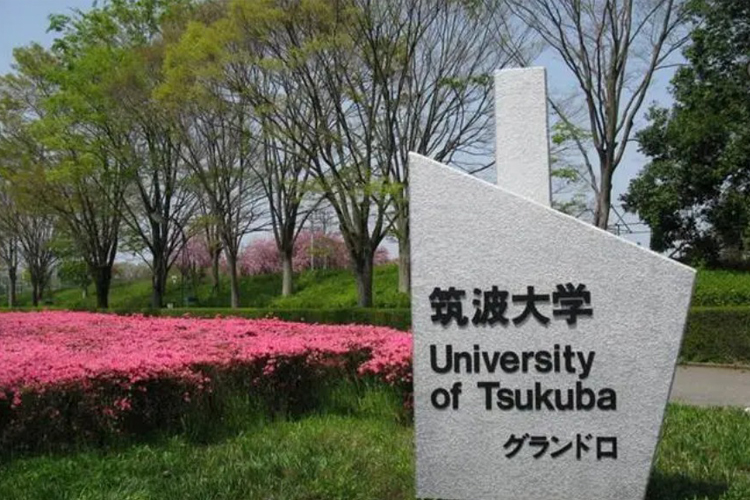 筑波大学世界排名 2024QS第355位