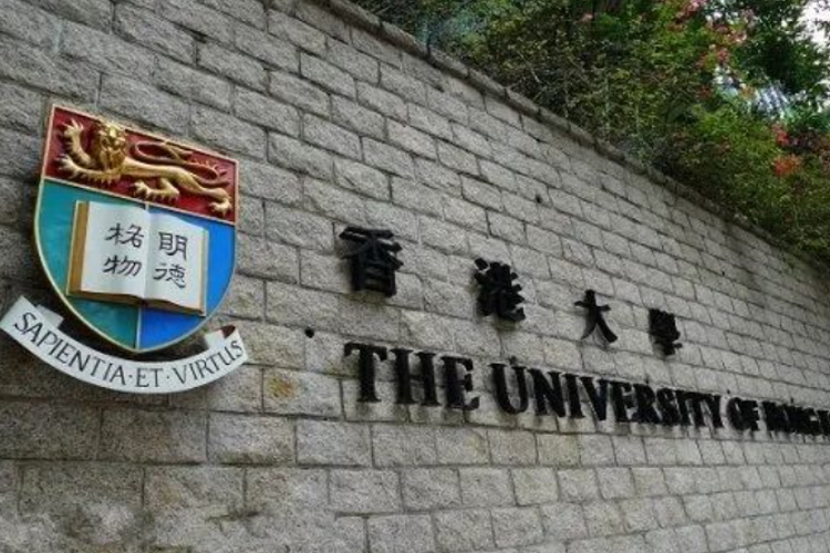 香港大学艺术类新增又一游戏设计本科专业，仅凭高考成绩即可申请！