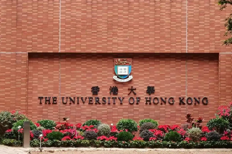 2025香港大学艺术类本科专业——景观设计
