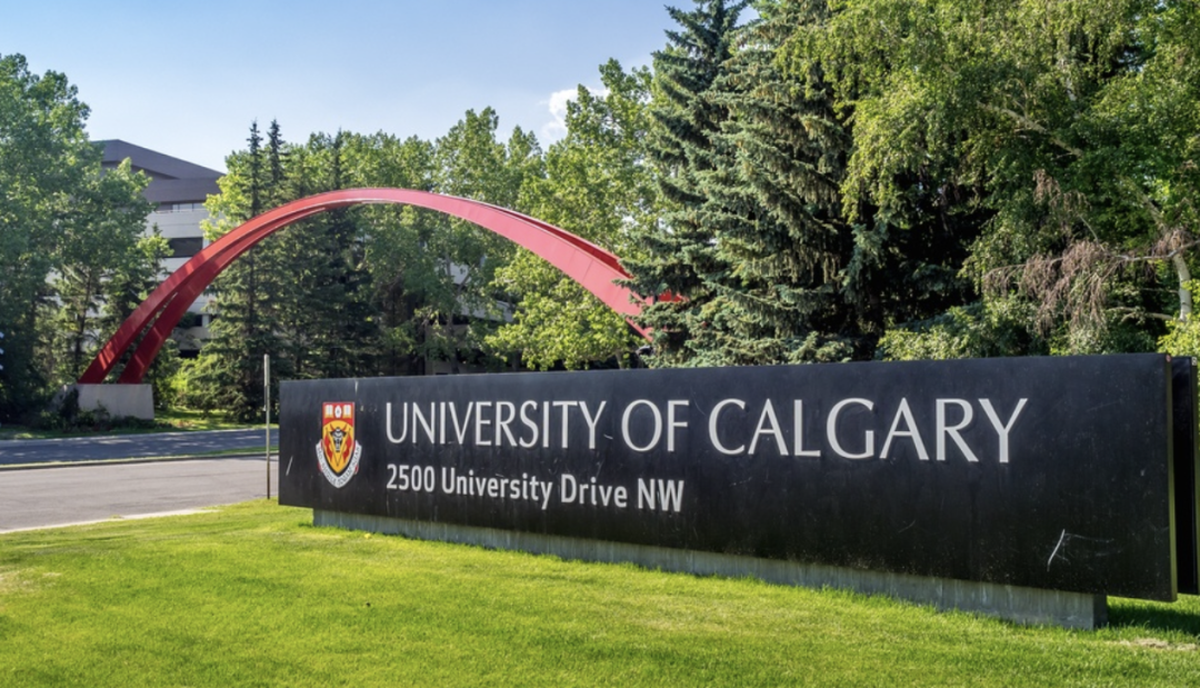 2024加拿大卡尔加里大学世界排名第几？