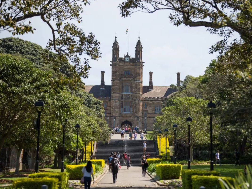 悉尼大学回国认可度高吗？