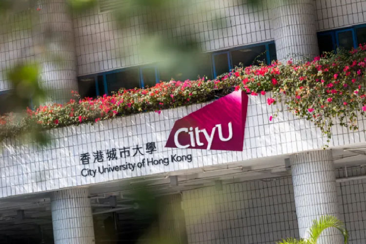 香港城市大学创意媒体学院怎么样？  