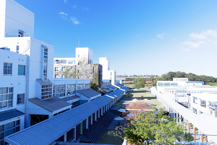 2024日本艺术留学|神户艺术工科大学动漫专业请情介绍