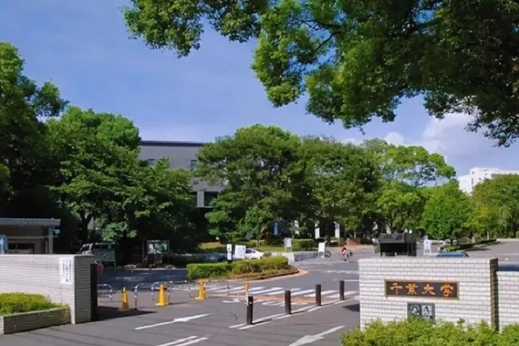 2024日本艺术留学|千叶大学艺术专业一览
