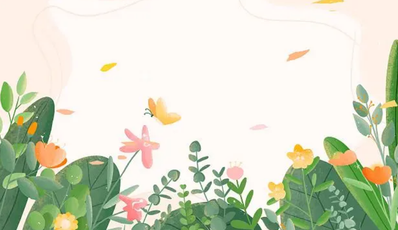 视觉传达设计作品集制作要点有哪些 留学院校有什么