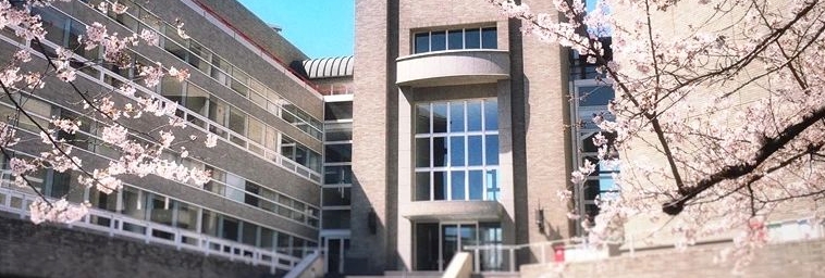 2025早稻田大学学费，多少米?