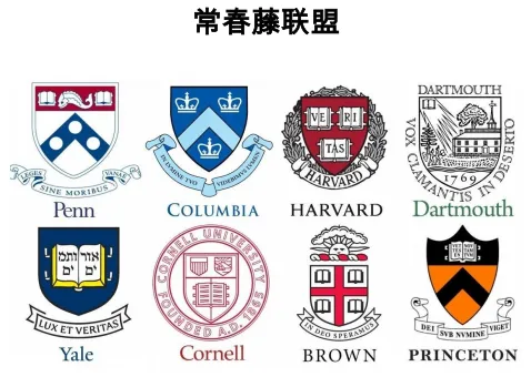 为什么有艺术特长的孩子，有爬藤优势？