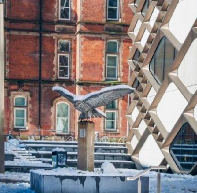 英国谢菲尔德大学怎么样？2025最新解读！！！