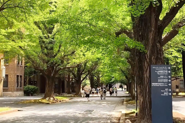 日本交互设计好的大学推荐——东京大学