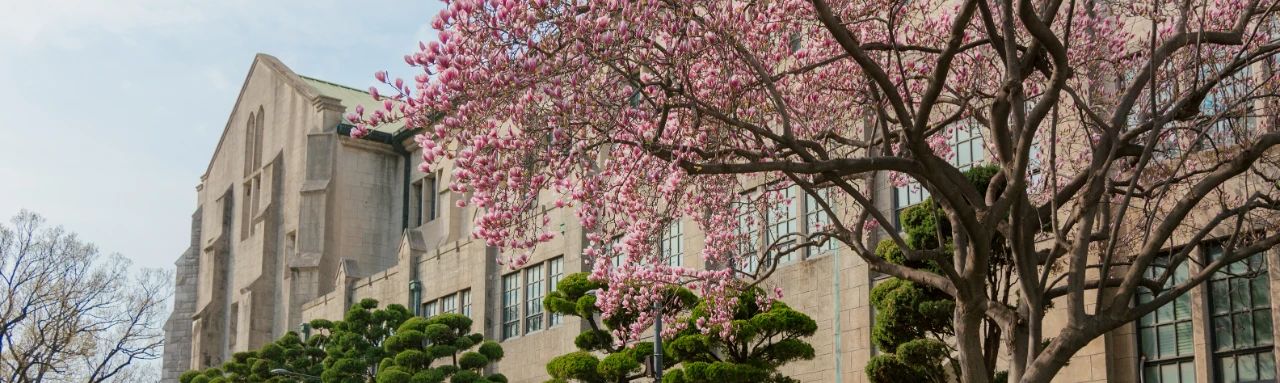 首次！梨花女子大学3大王牌专业，全斩获！