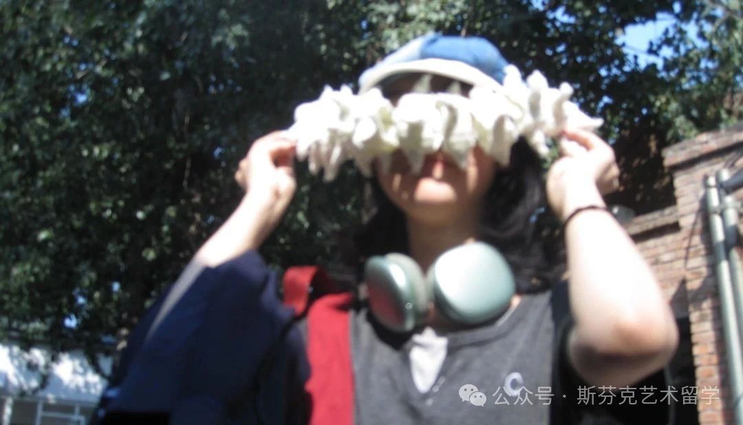 超10万人竞争？别慌，2min人设视频，搞定藤校招生官！