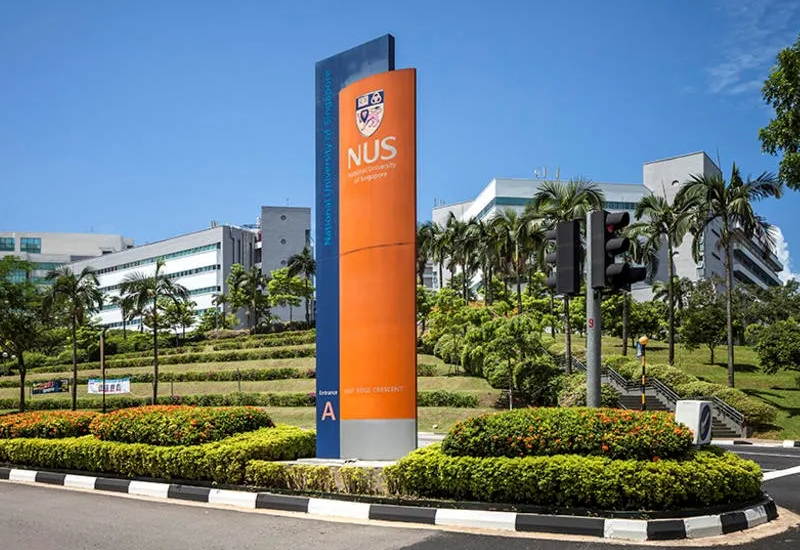 新加坡国立大学设计专业都有哪些可以选择?