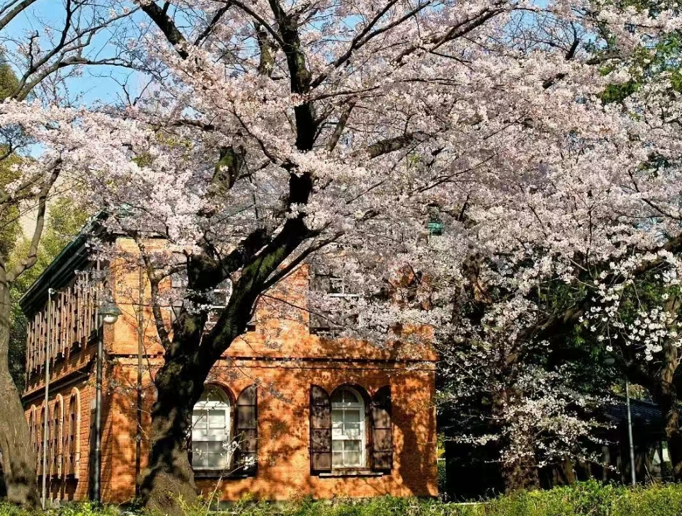 日本艺术留学一年需要多少费用？