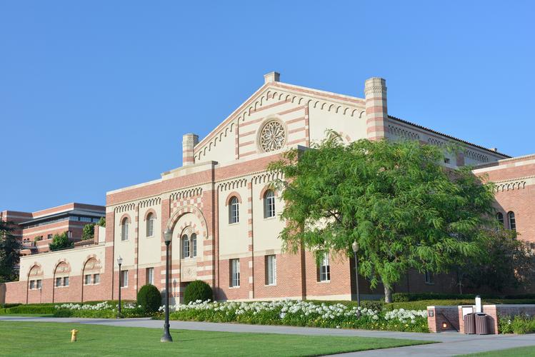 2025悉尼大学申请条件深度剖析，高校直通指南