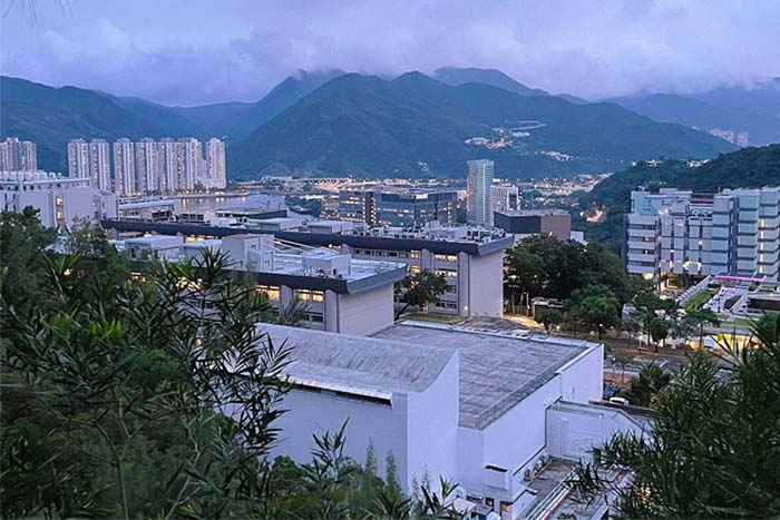 香港中文大学