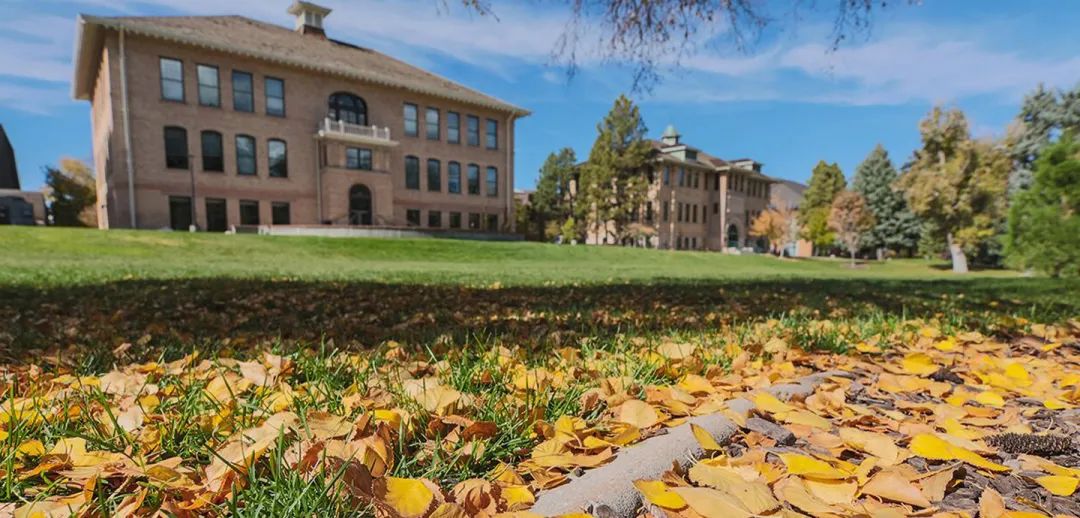 学财务管理的学校排名_哪所大学的财务管理专业好_财务管理专业大学排名