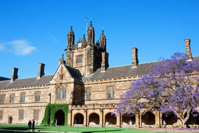 悉尼大学