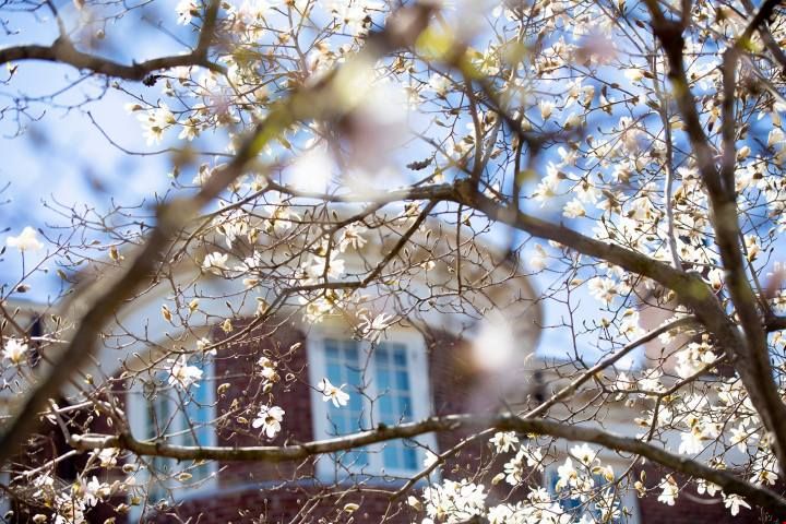 浸会大学研究生申请
