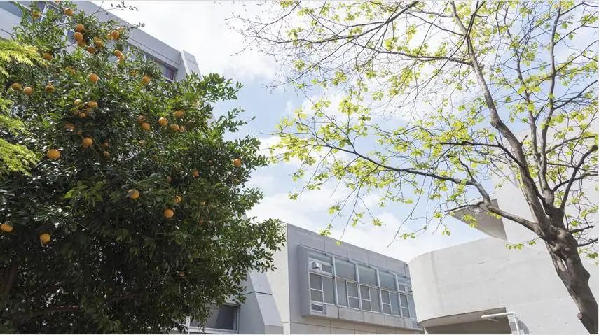 美国电影学院研究生