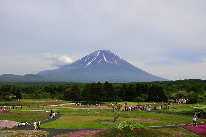 日本艺术类大学排名