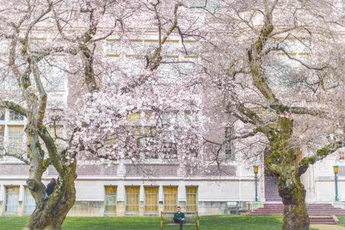 藝術生韓國大學推薦