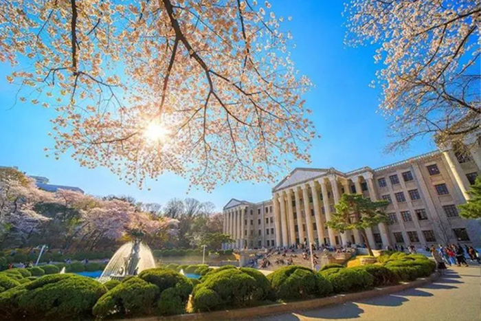 艺术生韩国大学推荐