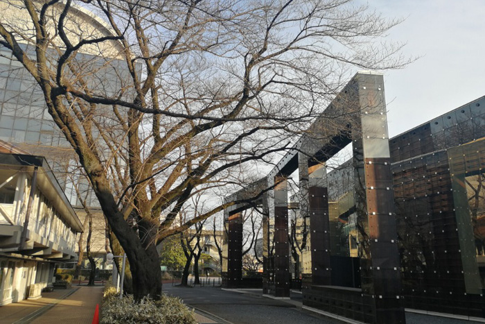 武藏野美术大学世界排名