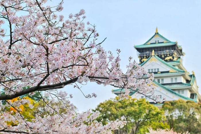 考艺术类院校去哪里国家