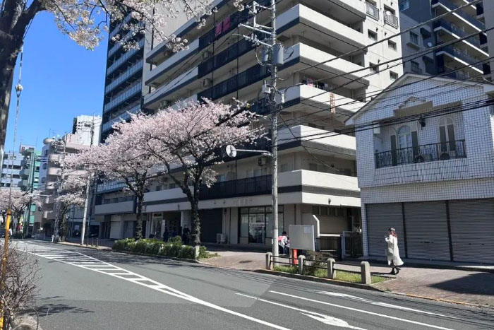 日本专门学校哪个专业比较好