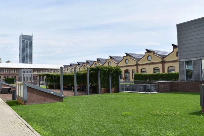 意大利艺术类大学排名
