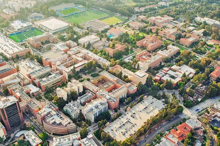 2024加州大学洛杉矶分校艺术专业