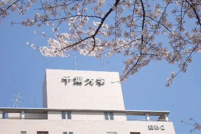 日本千叶大学怎么样