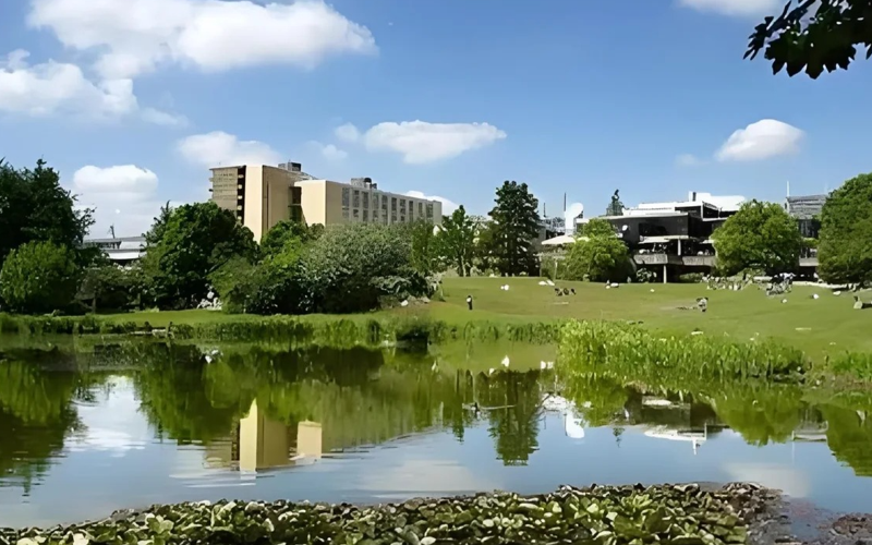 巴斯泉大学艺术专业