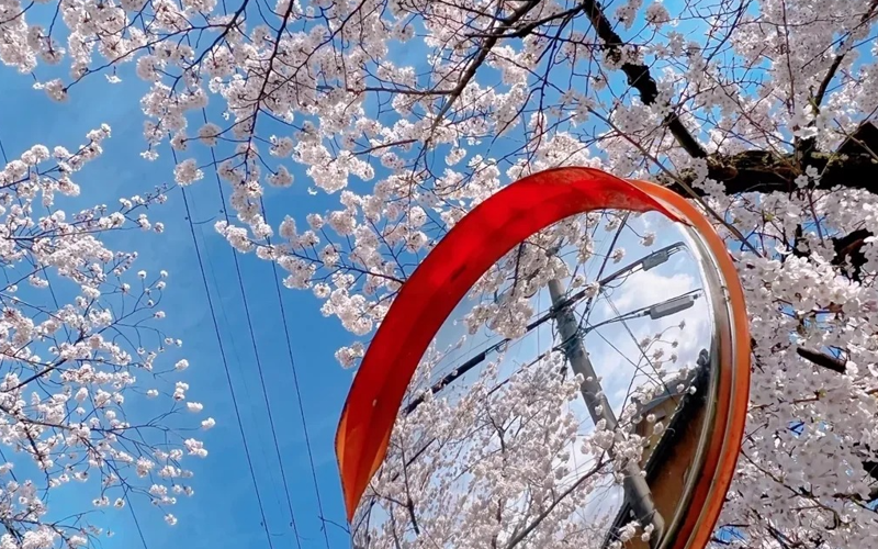 建筑设计留学日本院校及学费