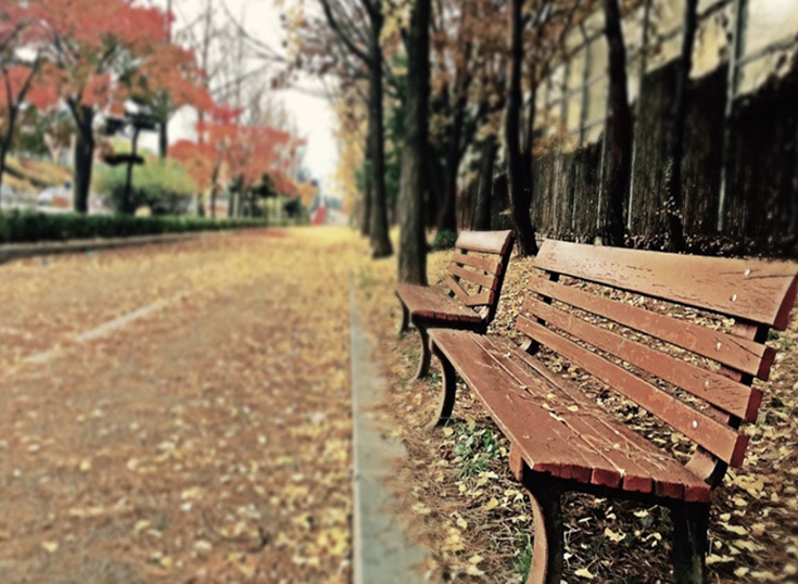 冲绳县立艺术大学学费