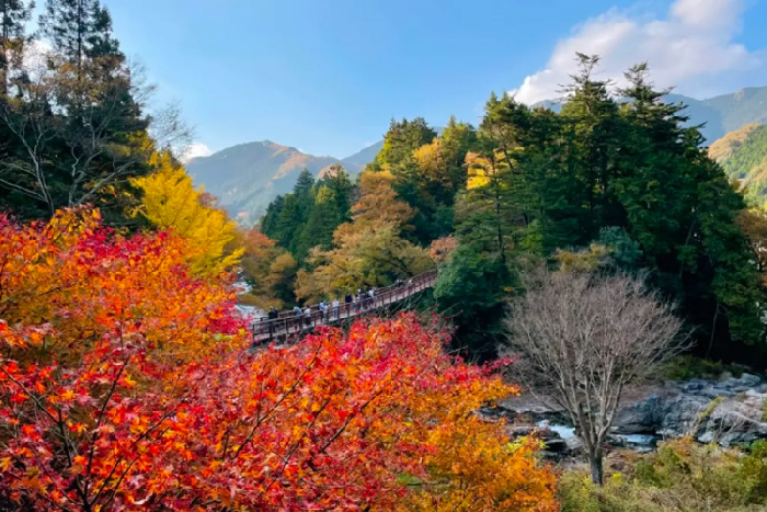 日本留學的成績要求