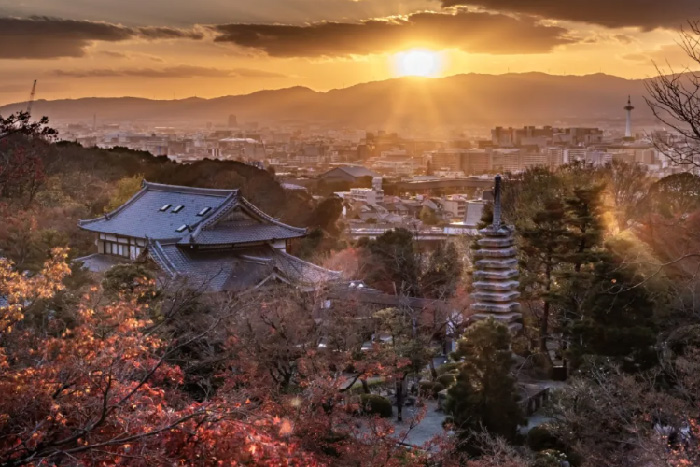 日本学设计哪所大学好  