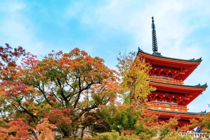 日本哪个大学艺术专业好