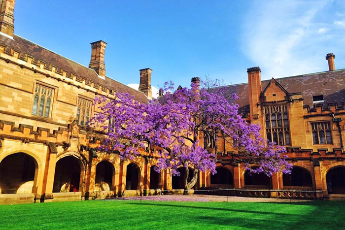 英国艺术类大学有哪些
