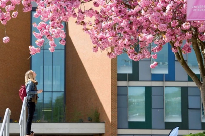 sussex大学世界排名