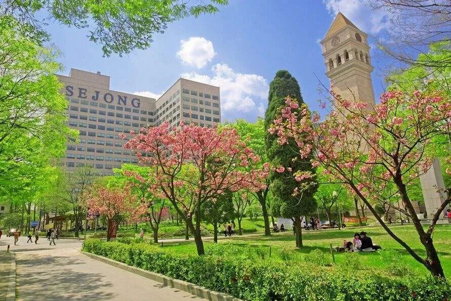 韩国艺术类大学排名