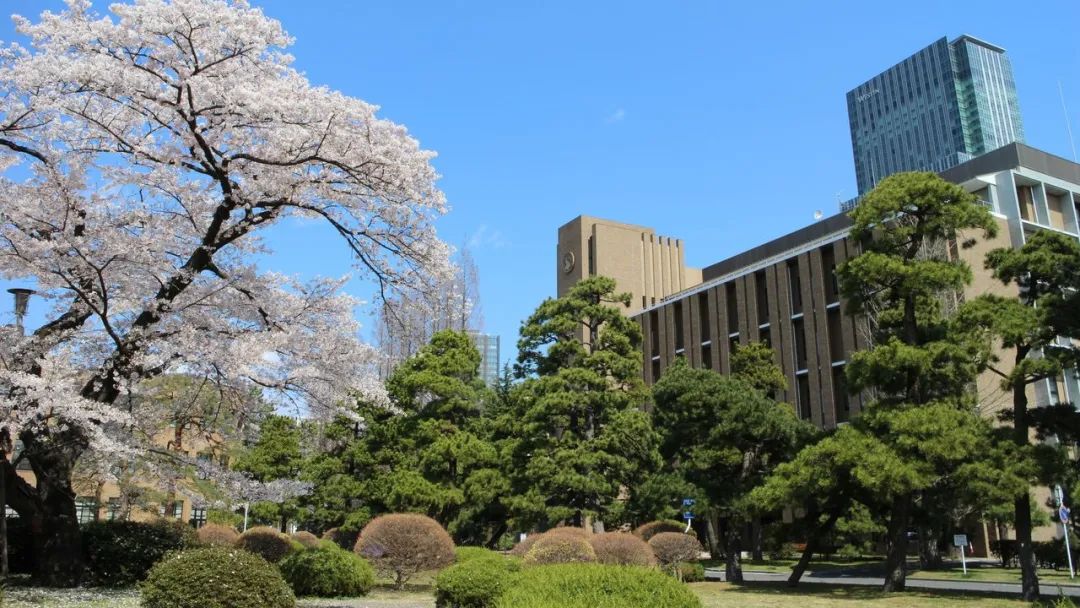 日本动漫专业最好的大学