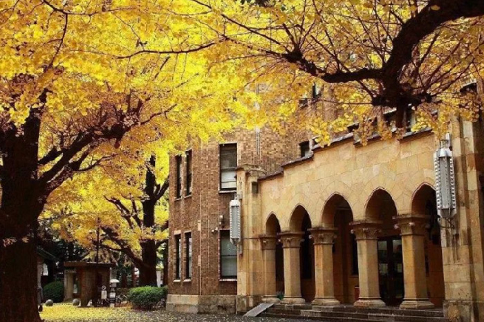 日本交互设计好的大学