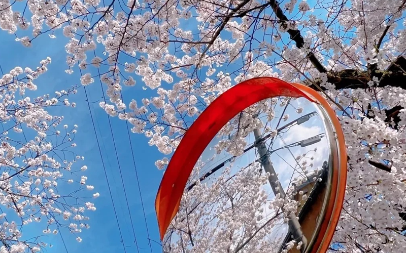 名古屋艺术大学怎么样