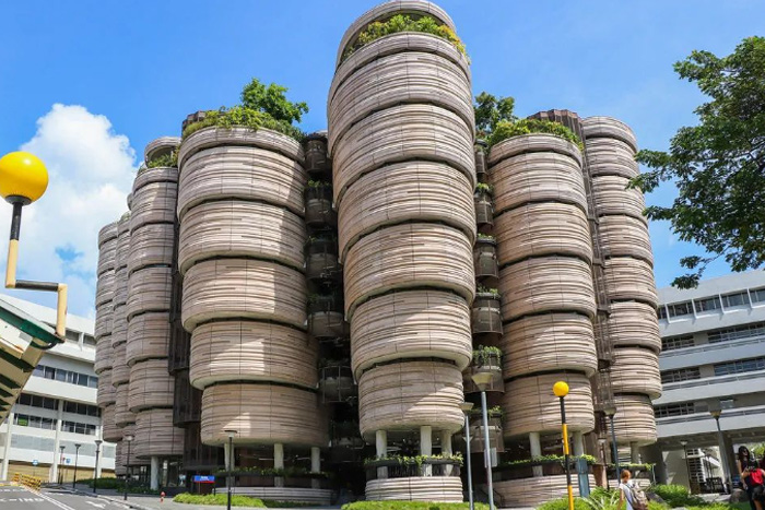 新加坡有哪些大学