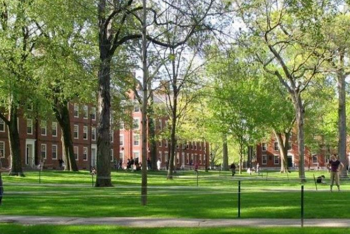 哈佛大学设计学院研究生专业