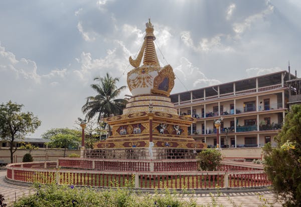 多摩美术大学研究生申请条件