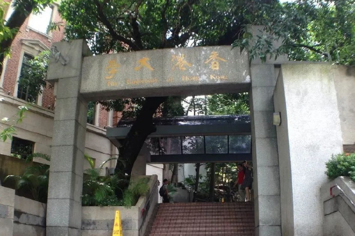 香港大学艺术类专业